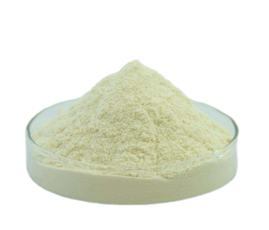 PSD 0,6-1,0 μm Cerium oxide polishing powder micron Untuk kaca optik